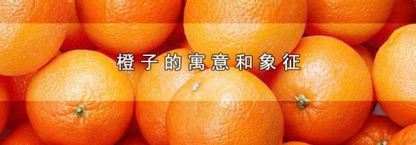 橙子的寓意和象征