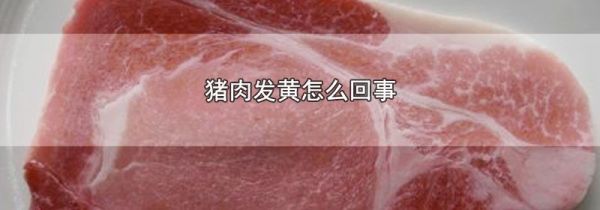 猪肉发黄怎么回事