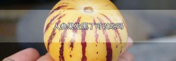 人参果发黑了可以吃吗