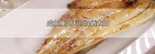 咸鱼腌几天可以晒太阳