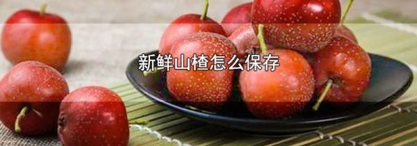 新鲜山楂怎么保存