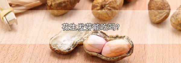 花生发芽能吃吗?