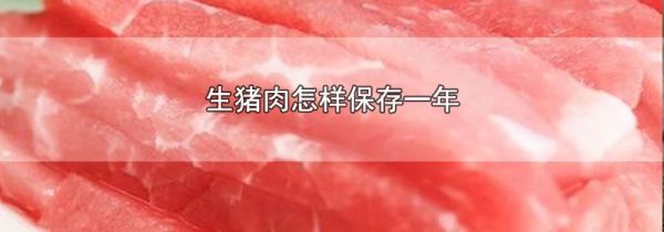生猪肉怎样保存一年