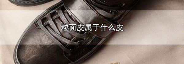 粒面皮属于什么皮