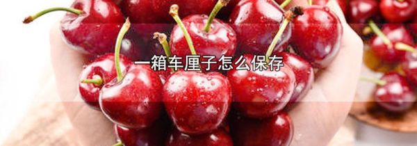 一箱车厘子怎么保存