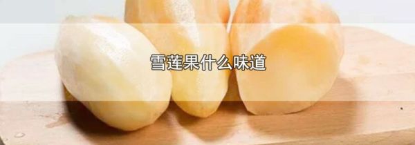 雪莲果什么味道