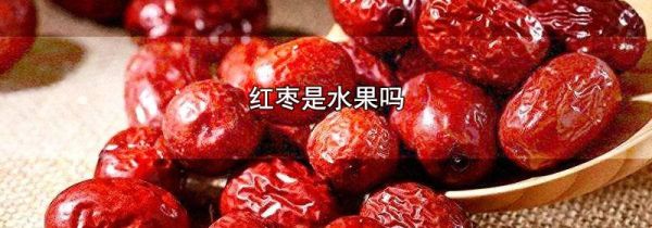 红枣是水果吗
