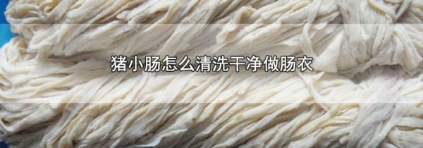 猪小肠怎么清洗干净做肠衣