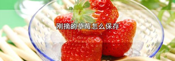刚摘的草莓怎么保存