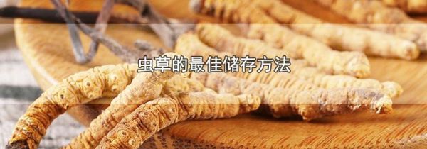 虫草的最佳储存方法