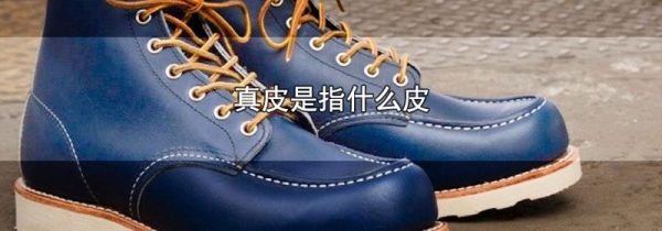 真皮是指什么皮