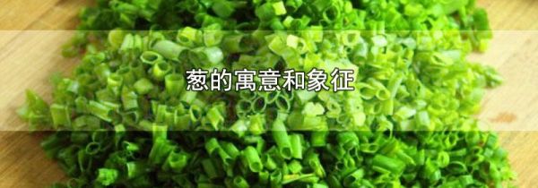 葱的寓意和象征
