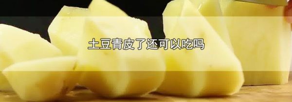 土豆青皮了还可以吃吗