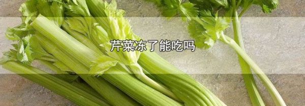 芹菜冻了能吃吗