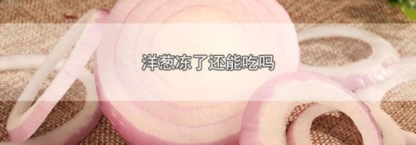 洋葱冻了还能吃吗