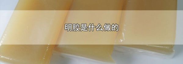 明胶是什么做的