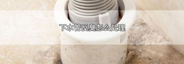 下水管反臭怎么处理
