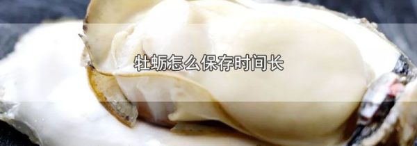 牡蛎怎么保存时间长
