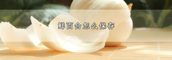 鲜百合怎么保存