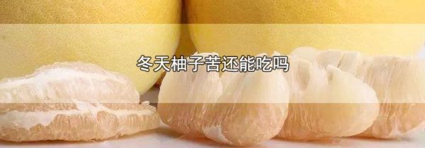 冬天柚子苦还能吃吗