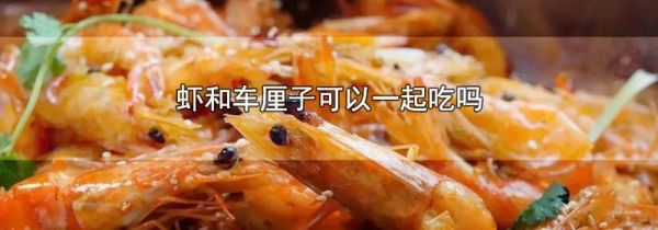 虾和车厘子可以一起吃吗