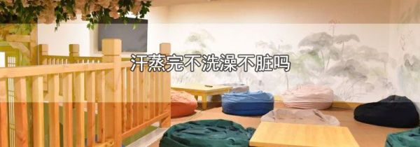 汗蒸完不洗澡不脏吗