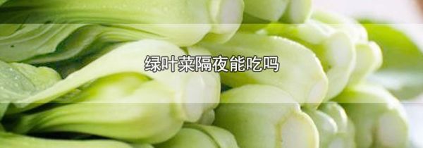 绿叶菜隔夜能吃吗