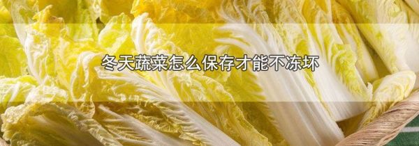 冬天蔬菜怎么保存才能不冻坏