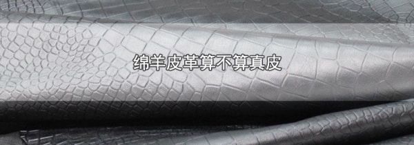 绵羊皮革算不算真皮