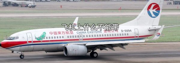 飞机上什么不能带