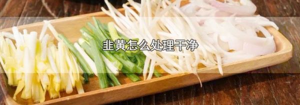 韭黄怎么处理干净