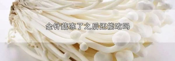 金针菇冻了之后还能吃吗