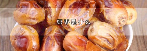 椰枣是什么