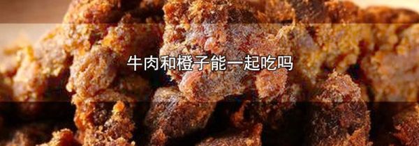 牛肉和橙子能一起吃吗