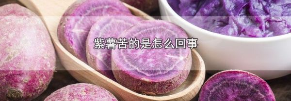 紫薯苦的是怎么回事
