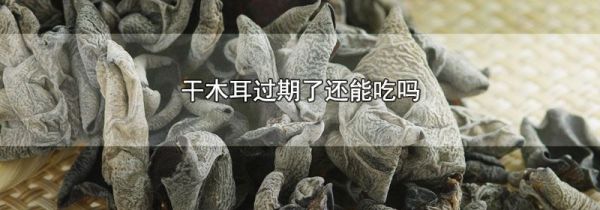 干木耳过期了还能吃吗