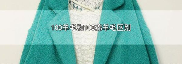 100羊毛和100绵羊毛区别