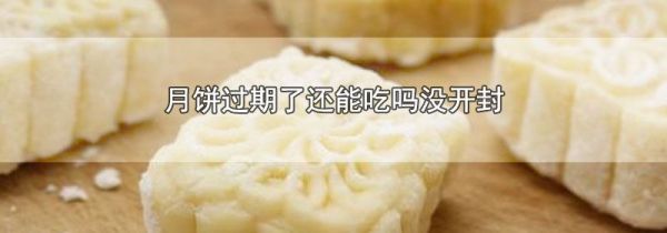 月饼过期了还能吃吗没开封