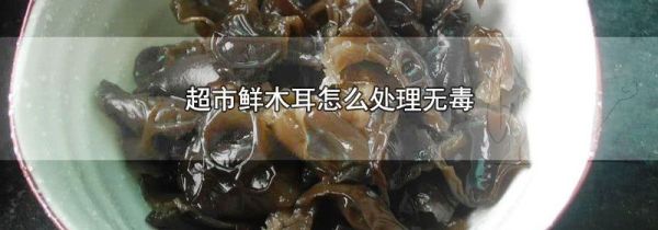 超市鲜木耳怎么处理无毒