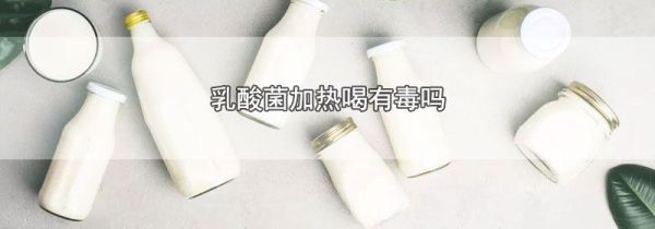 乳酸菌加热喝有毒吗
