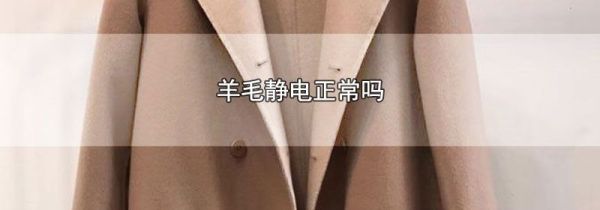 羊毛静电正常吗