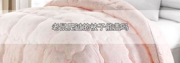 老鼠爬过的被子能盖吗