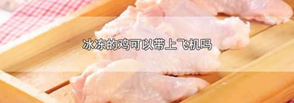 冰冻的鸡可以带上飞机吗