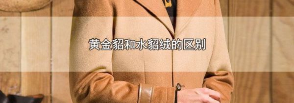 黄金貂和水貂绒的区别