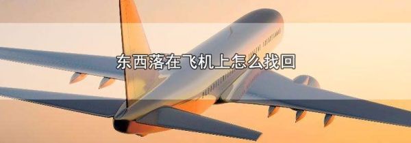东西落在飞机上怎么找回