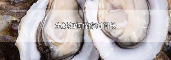 生蚝如何保存时间长