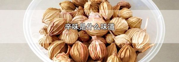 辛味是什么味道