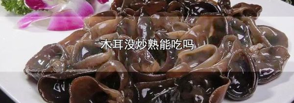 木耳没炒熟能吃吗