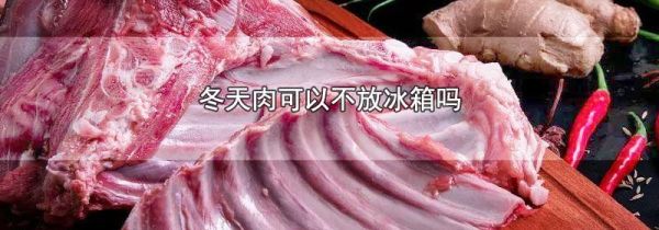 冬天肉可以不放冰箱吗
