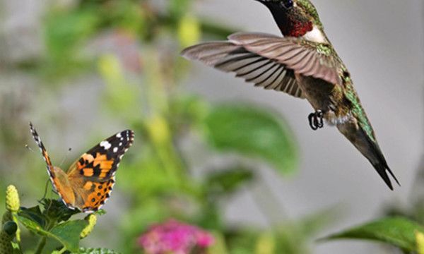 立了春就是春天了吗